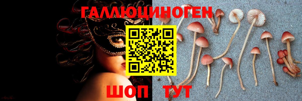 Галлюциногенные грибы MAGIC MUSHROOMS Россошь