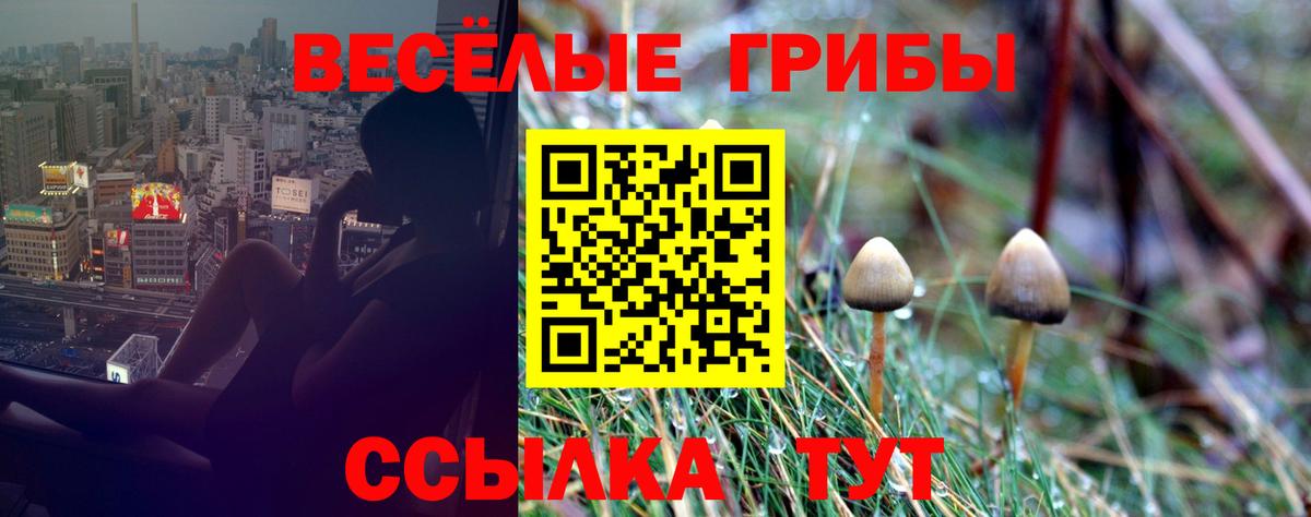Галлюциногенные грибы Psilocybe  Вход с VPN  Россошь  купить наркоту  Галлюциногенные грибы Magic Shrooms 